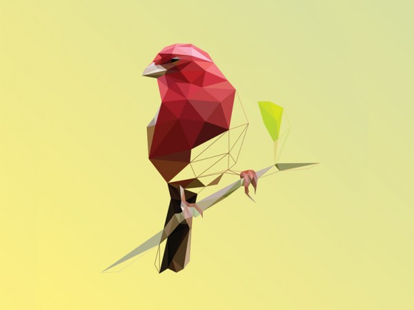 Low poly artworks, logos and illustrations by Breno Bitencourt