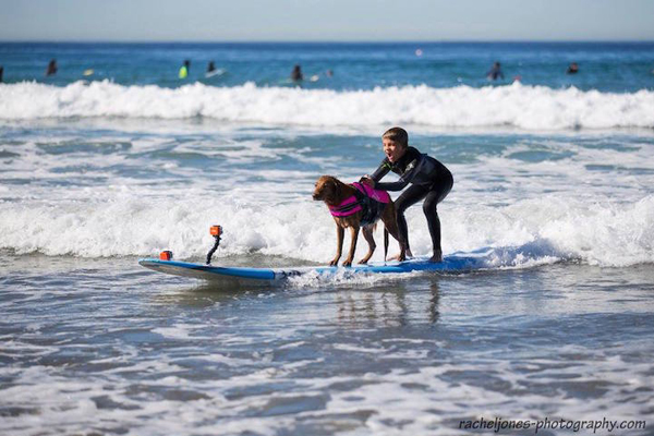 Surf Dog Ricochet, the only SURFice dog™ in the world