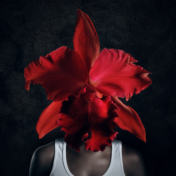 Flower portraits, photography by Alex T