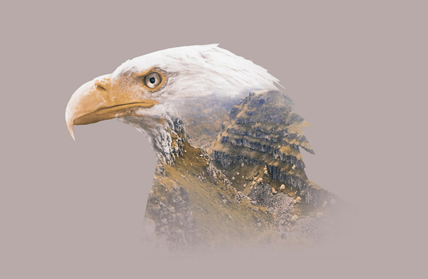 Eagles, illustration by Nir Vana