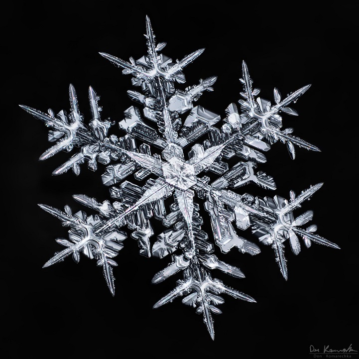 Stunning photos of complex snowflakes by Don Komarechka