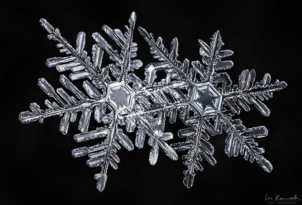Stunning photos of complex snowflakes by Don Komarechka