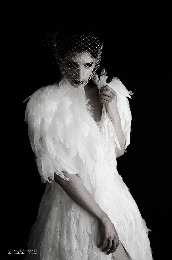 Birdcage, photography by Alexandra Banti