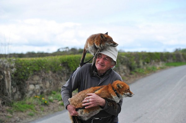 Patsy Gibbons, fantastic Mr. Fox