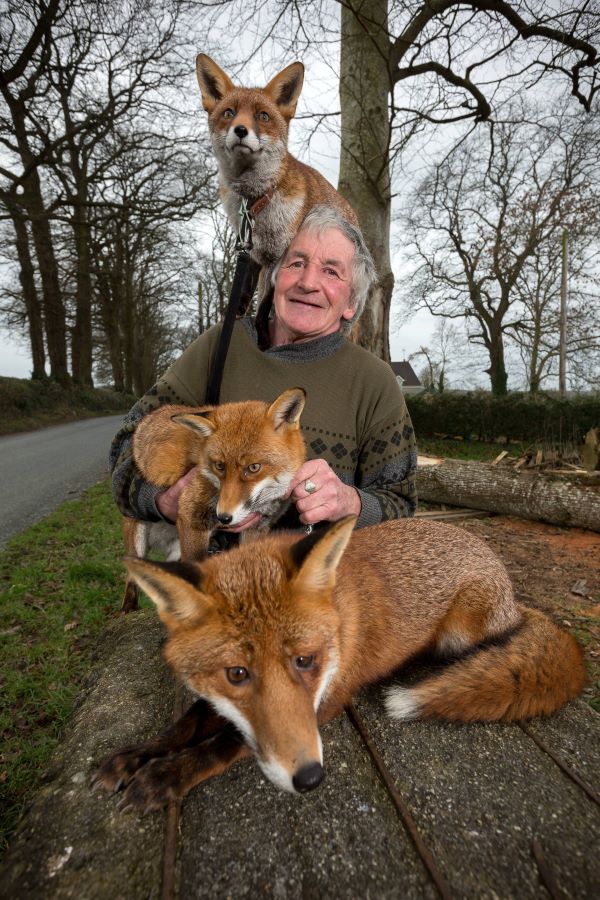 Patsy Gibbons, fantastic Mr. Fox