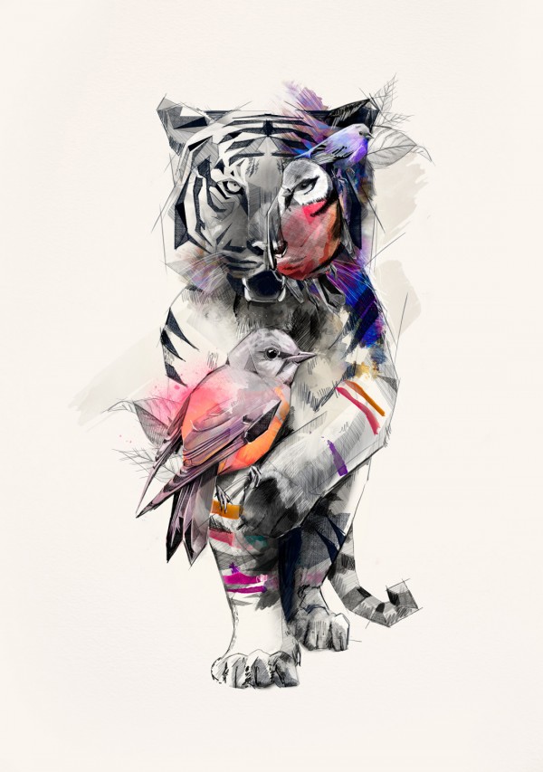 Tigers Eye - Drawing by Birgit Palma