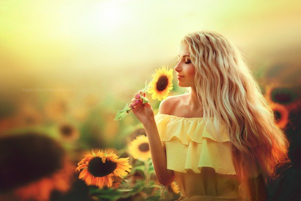 Sunflowers, photography by Olga Boyko