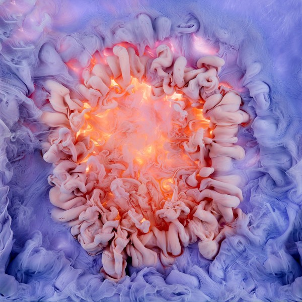 Aqueous Roses and Liquid Blooms, photography by Mark Mawson