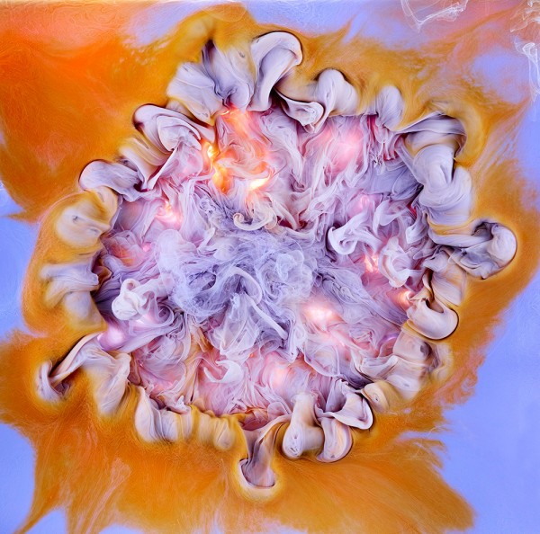 Aqueous Roses and Liquid Blooms, photography by Mark Mawson