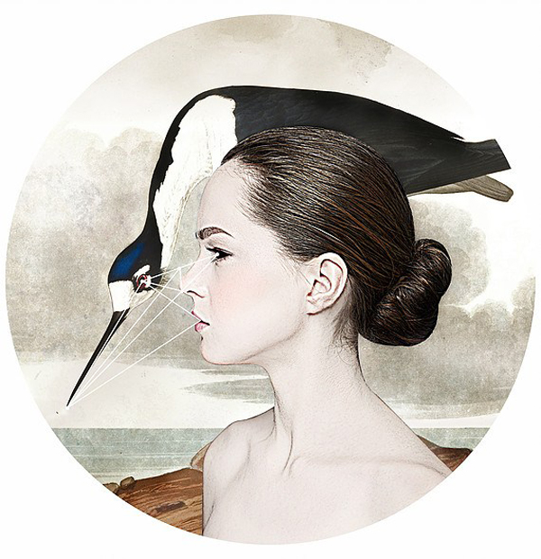 Birds with birds, a look behind the mind with Alexandra Gallagher