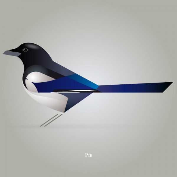 Birds, illustration by Vincent Helye