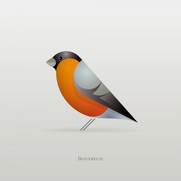 Birds, illustration by Vincent Helye
