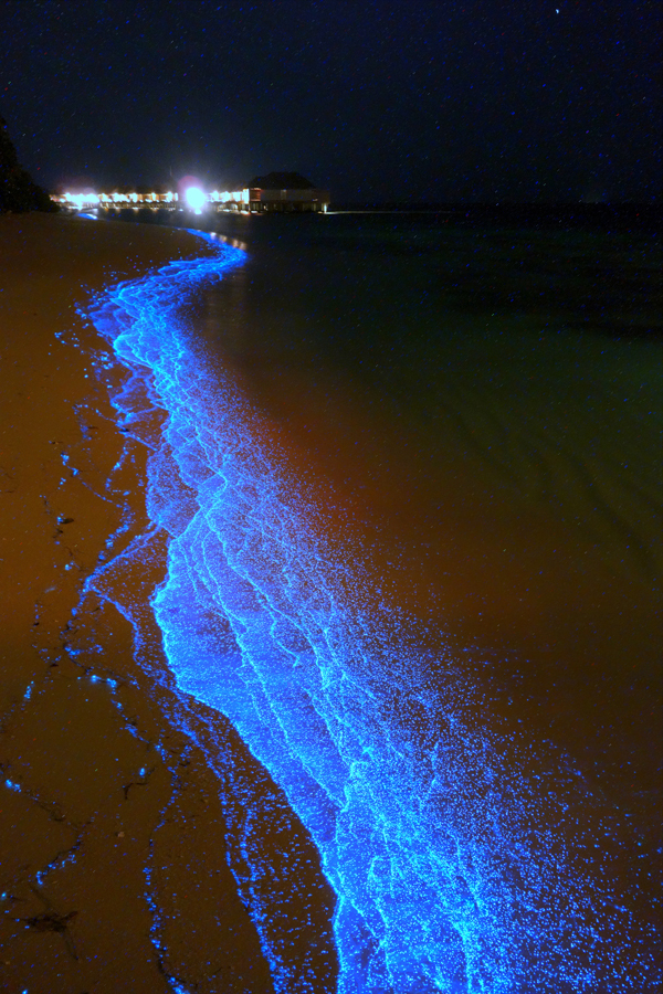 A Maldives beach awash in bioluminescent phytoplankton, photography by Will Ho
