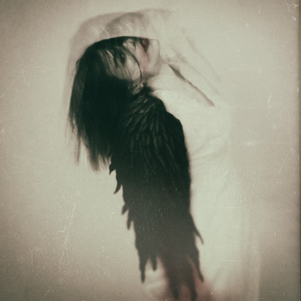Painted Blind, digital photography by Josephine Cardin