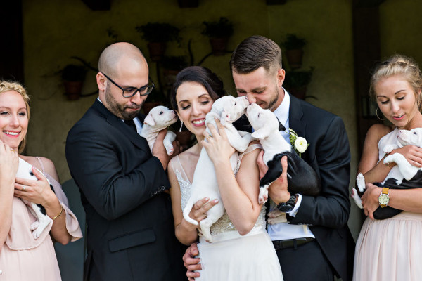 Instead of wedding bouquets this couple had a bunch of rescue puppies