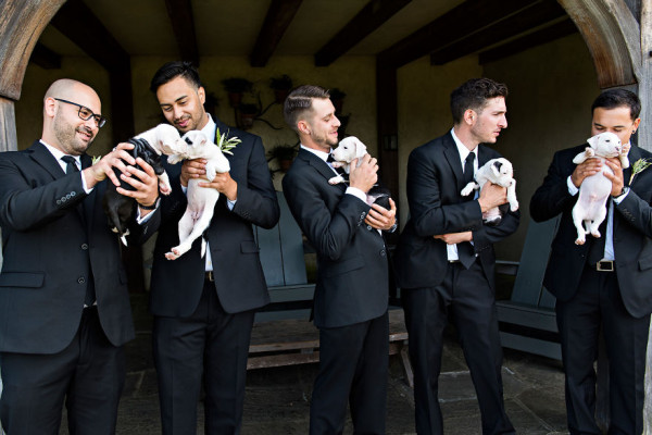 Instead of wedding bouquets this couple had a bunch of rescue puppies