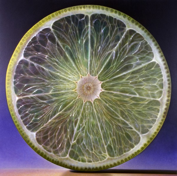 Large-scale oil paintings of fruit by Dennis Wojtkiewicz