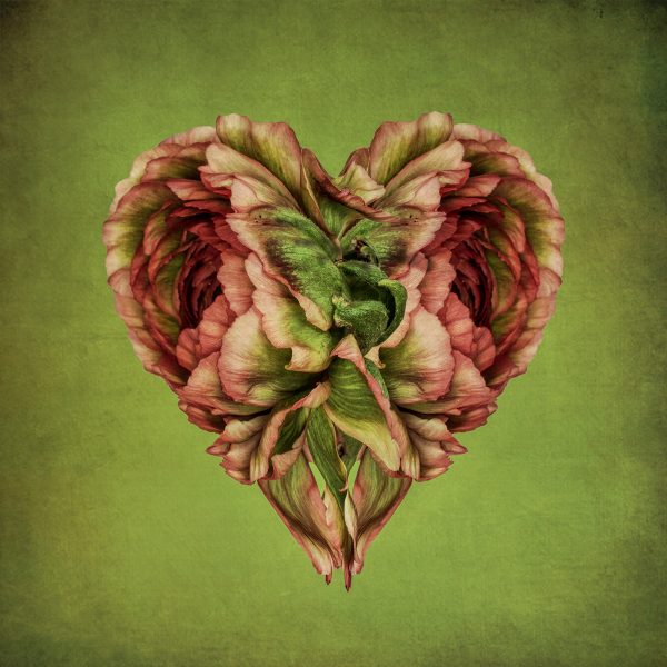 Flower Hearts, digital photography by Bettina Güber