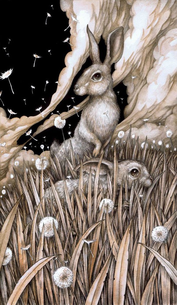 Magical, nature inspired illustrations by Adam Oehlers