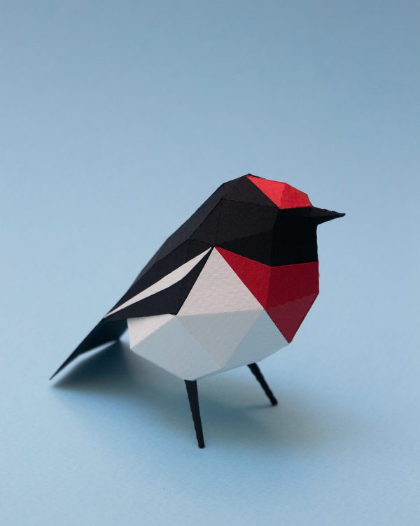 Paper birds, paper art by Estudio Guardabosques