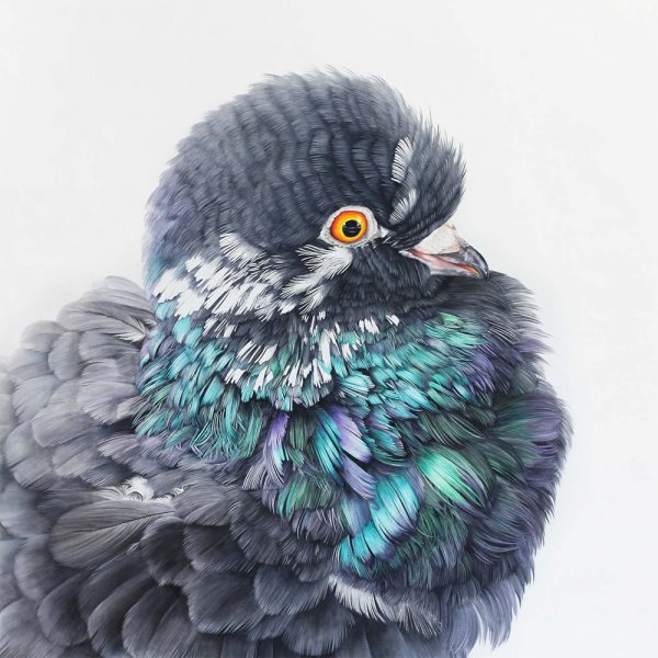 Adele Renault, Large-scale paintings of pigeons