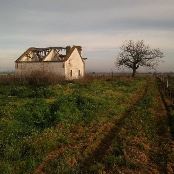 Abandoned Portugal, photography by Paulo Carrasqueira