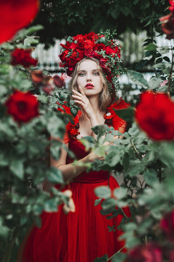 Red Rose, digital photography by Jovana Rikalo
