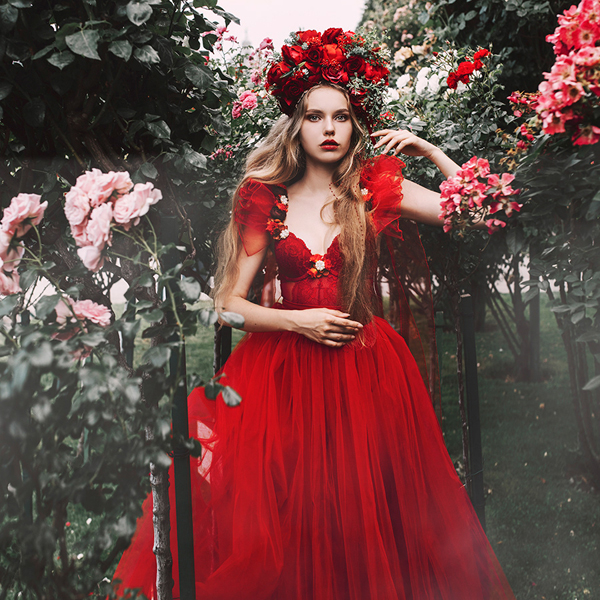 Red Rose, digital photography by Jovana Rikalo - Ego - AlterEgo